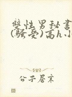 双性男秘书巨乳(骚受)高h小说