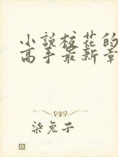 小说校花的贴身高手最新章节在线