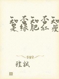 知否知否知否应是绿肥红瘦讲的是什么