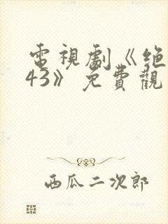 电视剧《绝密543》免费观看全集