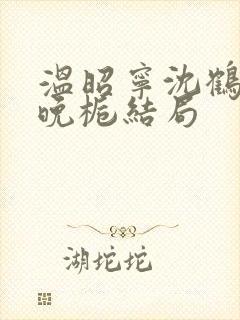 温昭宁沈鹤川宋晚栀结局