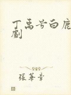 丁禹兮白鹿电视剧