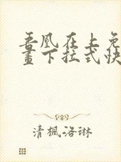 吾凰在上免费漫画下拉式快看漫画