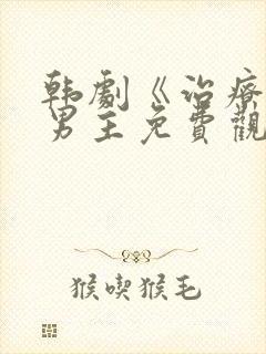 韩剧《治疗》双男主免费观看