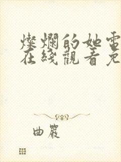 灿烂的她电视剧在线观看免费封面