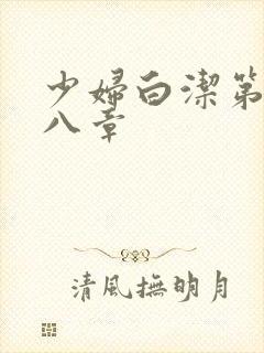 少妇白洁第二十八章