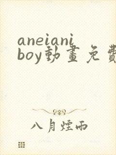aneianiboy动画免费观看封面