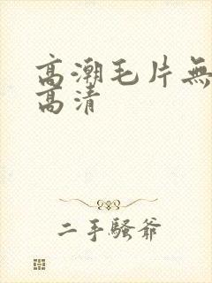 高潮毛片无遮挡高清封面