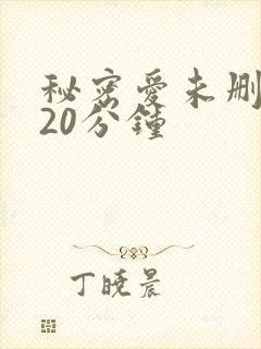 秘密爱未删减120分钟