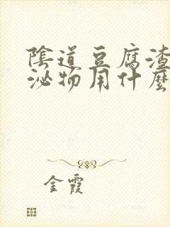 阴道豆腐渣状分泌物用什么药