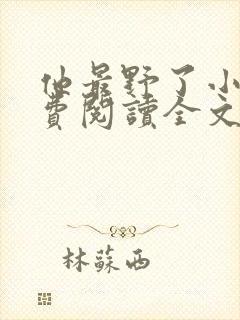 他最野了小说免费阅读全文