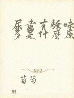 尿黄有骚味泡沫多是什么原因