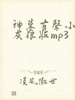 神墓有声小说大灰狼版mp3