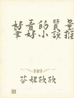 好看的质量高文笔好小说推荐封面