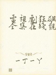 电视剧狂飙支队全集在线观看