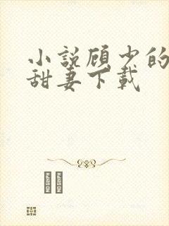 小说顾少的替嫁甜妻下载