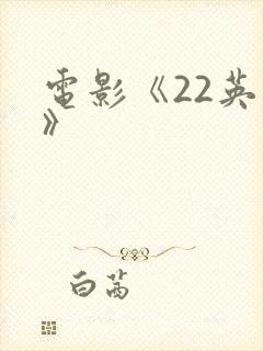 电影《22英里》