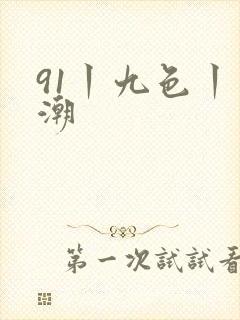 91丨九色丨高潮