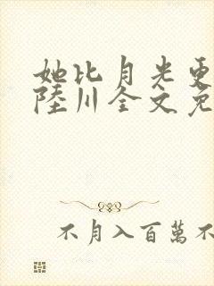 她比月光更耀眼陆川全文免费