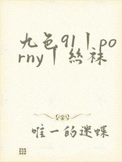 九色91丨porny丨丝袜