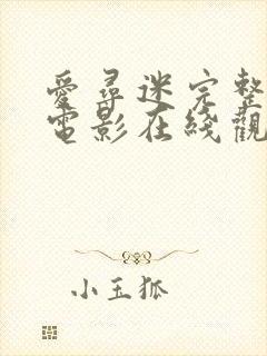 爱寻迷完整版+电影在线观看封面