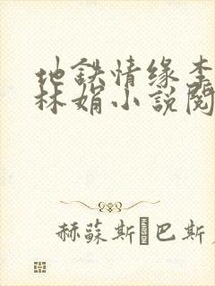 地铁情缘李明和林娟小说阅读