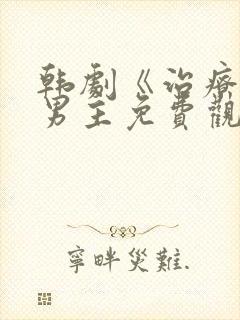 韩剧《治疗》双男主免费观看