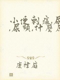 小便刺痛,尿急,尿频,什么原因引起封面