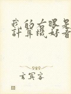 我的右眼是神级计算机好看吗