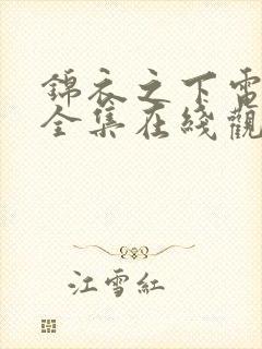 锦衣之下电视剧全集在线观看