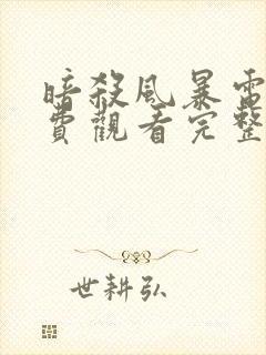 暗杀风暴电影免费观看完整版国语高清