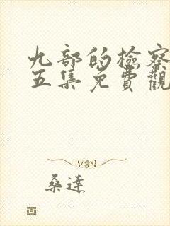 九部的检察官第五集免费观看