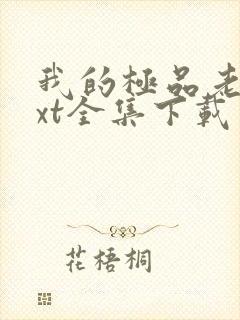 我的极品老婆txt全集下载