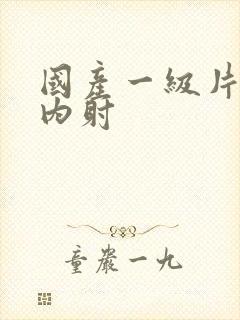 国产一级片无套内射