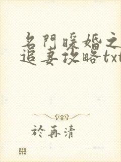 名门暖婚之权爷追妻攻略txt小说下载