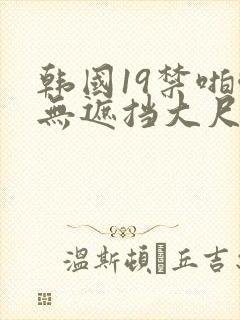 韩国19禁啪啪无遮挡大尺度