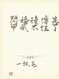 闪婚后傅先生马甲藏不住了免费版封面