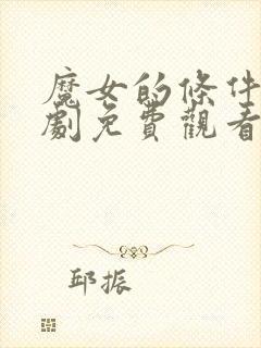 魔女的条件电视剧免费观看