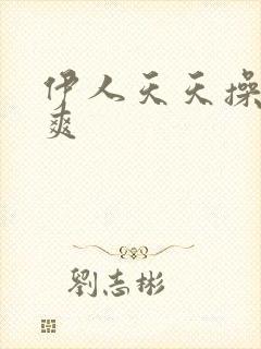 伊人天天操夜夜爽