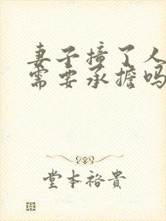 妻子撞了人丈夫需要承担吗