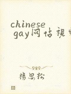 chinese gay网站视频
