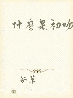 什么是初吻封面