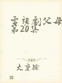 电视剧父母爱情第20集