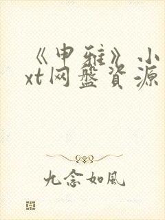 《申雅》小说txt网盘资源