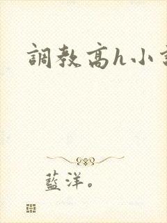 调教高h小说封面