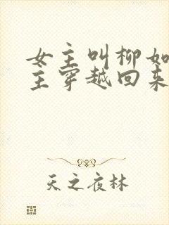 女主叫柳如烟男主穿越回来的小说封面