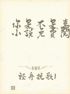 你是不是喜欢我小说免费阅读