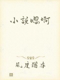 小说嗯啊封面
