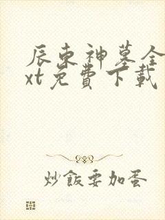 辰东神墓全本txt免费下载