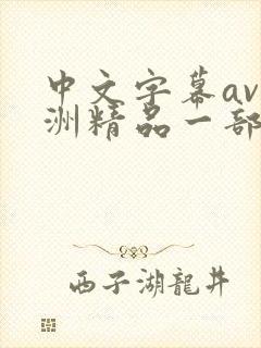 中文字幕av亚洲精品一部二部